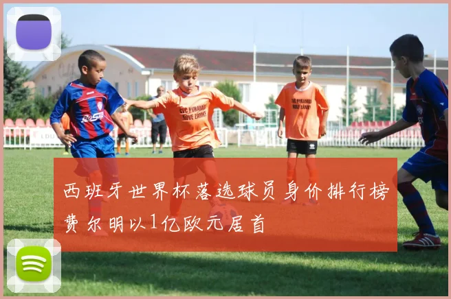 西班牙世界杯落选球员身价排行榜费尔明以1亿欧元居首